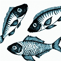 poissons